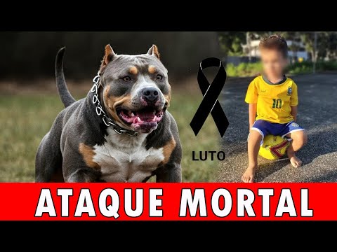 Pequeno  de 4 anos atacado por ptibull em Nova Venécia, no Noroeste do Espírito Santo