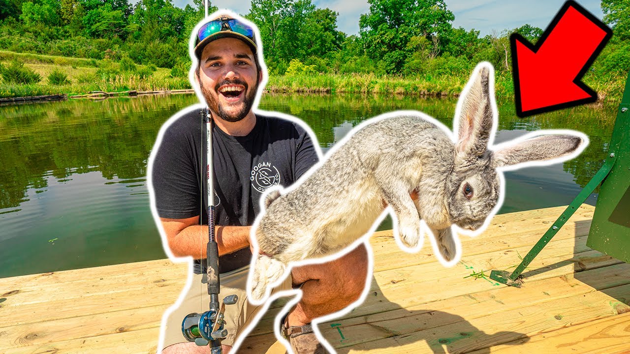 Taking the WORLD'S LARGEST RABBIT Fishing in My BACKYARD POND! (NEW PB)