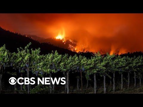 YouTube video thumbnail: How the Pickett Fire Could Affect This Year's Wine Harvest