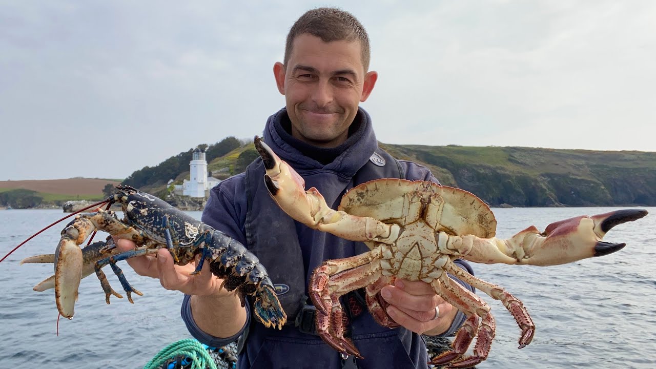 Hand Hauling the FishLocker Lobster Pots - Huge Crab and Pregnant Lobster V notch - The Fish Locker
