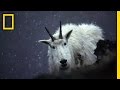 National Geographic Photography Insights
