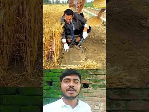 ইন্জিনিয়ার যখন কৃষি কাজ করতে আসে #foryou #shorts #shortvideo