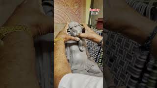 A Bombay Connect With OG Celeb Bappa | Ft. Father-Son Duo Vishal & Suryakant Shinde