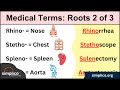 Medical Root Words and Their Meanings