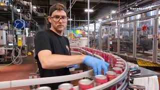 El auge de las bebidas de cannabis y la caída de las bebidas alcohólicas