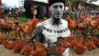 I Built a Buffet Table for My Chickens — Watch What They Do!