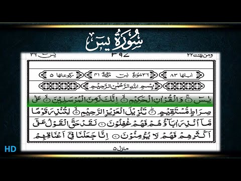 Surah Ya-Sin | Beautiful Recitation | By Zain Abu Kautsar