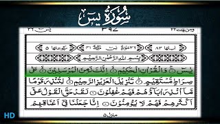 Surah Ya-Sin | Beautiful Recitation | By Zain Abu Kautsar