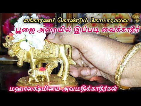 கோடி செல்வங்களை தரும் கோமாதாவை பூஜை அறையில் இப்படி வைக்காதீர்கள்| அதிர்ஷ்டம்பெருகும்,லக்ஷ்மி வருவாள்