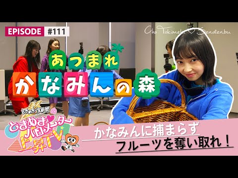 [Tokibaro TV] [Challenge] Kanamin's Forest (Take fruit from blindfolded Kanamin!!) epi 111