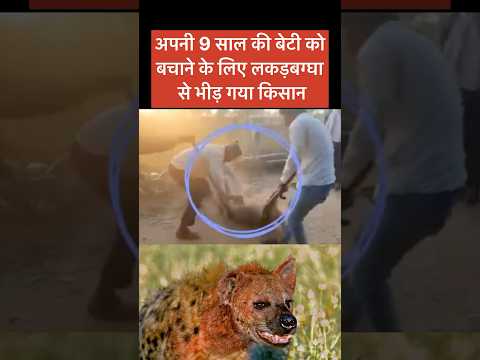 Hyena Attack || अपनी 9 साल की बेटी को बचाने के लिए लकड़बग्घा से भीड़ गया किसान || #hyena #short