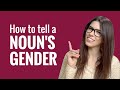 Identifying Masculine and Feminine Nouns in French