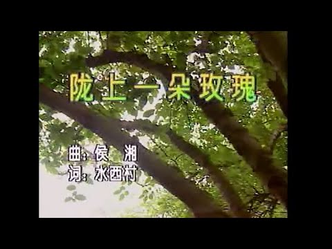 吳鶯音 – 隴上一朵玫瑰