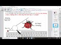 Understanding Scale and Measurement