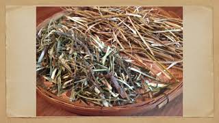 The Willow Tree