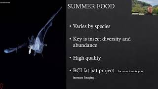 Effects of Fire on Pennsylvania's Bats and the state Lands Bat Habitat Conservation Plan (PGC)