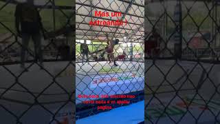 @rangelfarias @PFLMMA @rwsmuaythai @glory @kickbox @JhangirKickboxer