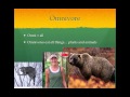 Ecosystem Interactions and Cycles