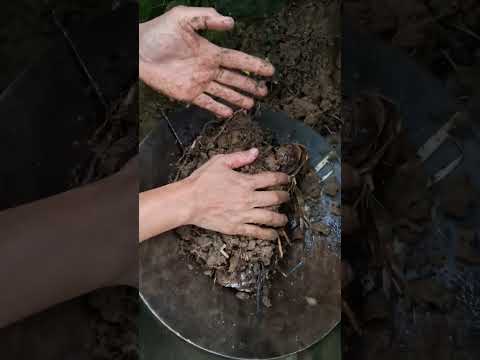 Crazy.,!! discovery of gold dust in inland rivers carried by flash waters. #golddiscovery #goldrush