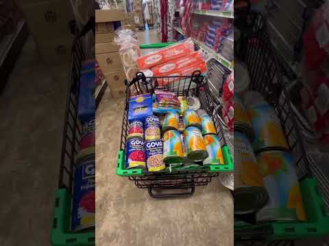 MY 1st DOLLAR TREE GROCERY HAUL MINiVLOG #justthebells10 #groceryhaul #familyvlog #dollartree