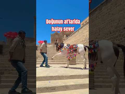 Maşallah Allah'ım nazarlardan korusun