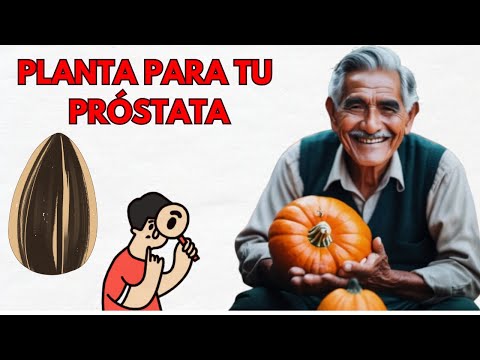 LA MEJOR PLANTA PARA LA PRÓSTATA CRECIDA!