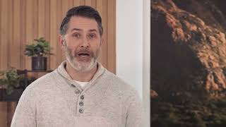 ID.7 | Out and about with pets🐕  | Volkswagen Ireland