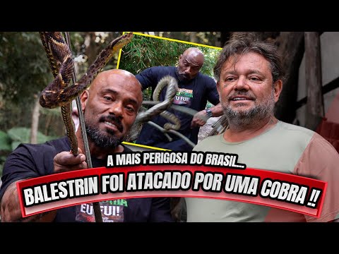 BALESTRIN FOI ATACADO PELA COBRA MAIS PERIGOSA DO BRASIL !!