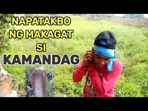 NAPATAKBO NG MAKAGAT SI KAMANDAG | JTG KAMANDAG