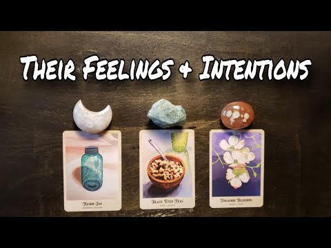 ♥️🌹 What Are Their Feelings  & Intentions? Pick A Card Love Reading
