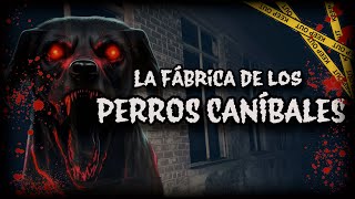 FÁBRICA ABANDONADA DE LOS PERROS CANÍBALES