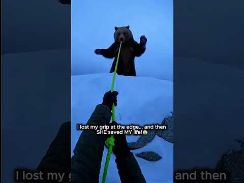 This Mother Bear Knew I Was Her Only Hope ๐ญ๐