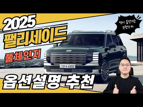 팰리세이드 풀체인지 옵션 설명. 여러분은 어떻게 생각하시나요?