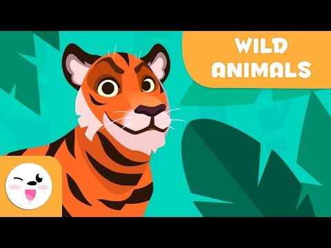 Wild animals for kids - Vocabulary for kids - YouTube