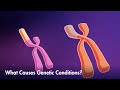 Exploring Genetic Mutations and Their Impact on Health
