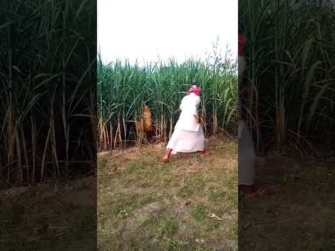 Shorts | #shortsvideo #youtubeshorts #shortsfeed | vijay bitoli jaunpuriya |