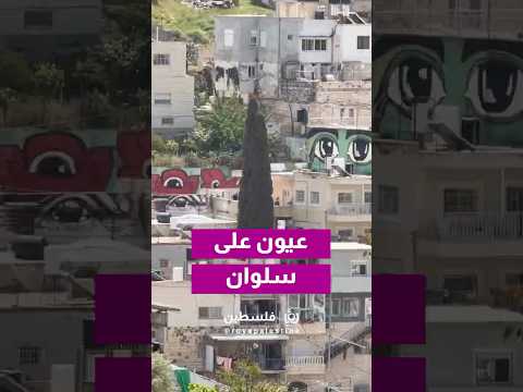 عين على سلوان وعيون شاهدة على ما يحصل في البلدة #shorts #short #shortsclip #shortscraft