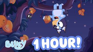🔴LIVE: I Wish I Were a Fruitbat! 😴 🥭 | Bluey Animal Moment + More 💙 | 1 HOUR | Bluey