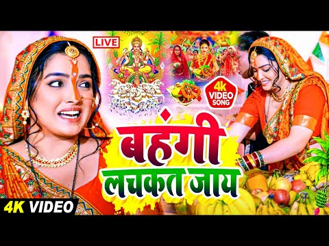 LIVE : पारम्परिक  छठ पुजा व्रत गीत 2024 | Chhath Geet 2024 | Chhath Puja Ke Gana  |Chhath Puja Song