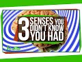 Exploring Beyond the Five Senses