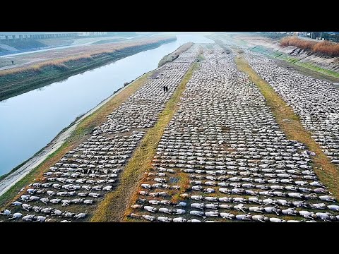 That Was Really Filmed on Camera