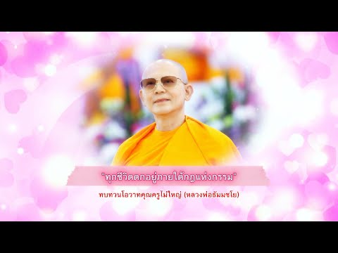 🌟ทุกชีวิตตกอยู่กายใต้กฎแห่งกรรม - โอวาทอันทรงคุณค่า #หลวงพ่อธัมมชโย #วัดพระธรรมกาย #ธรรมะ #สมาธิ