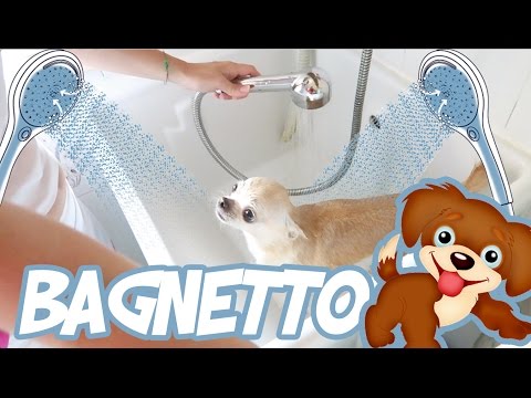 BAGNETTO A TRE CANI FIFONI | MartharossiTv