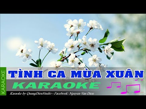 Tình ca mùa xuân karaoke | NVD