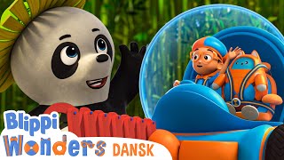 Dyr i regnskoven | Blippi Dansk | Moonbug Børn Dansk - tegnefilm for børn