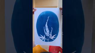 Başarısız denemeler de vardır 😬 #cyanotype #siyanotip #artprocess