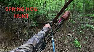 LONGBOW HOG HUNTING