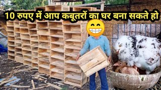 Rs10 ki peti se aap kabutaron ka ghar banaa sakte ho#kabootar_care