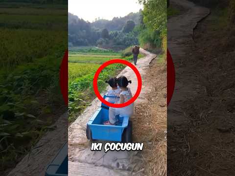 Küçük Çocuklar Babalarına Yardım Ediyor