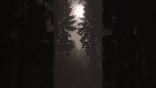 mgła i księżyc...widoki mi się udały...z Bogiem, Bracia